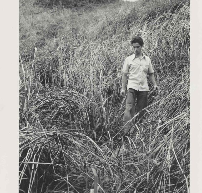 Gordon Parks image
