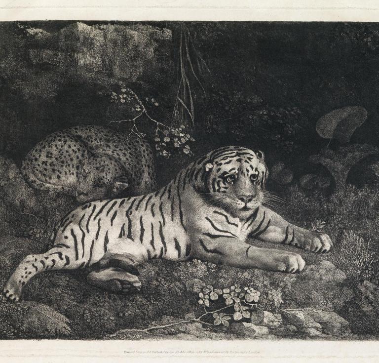 Stubbs' Two Tygers