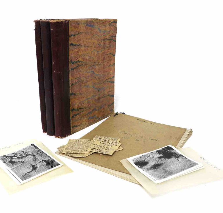The Crick diaries